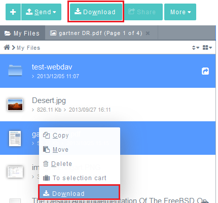 Download multiple files storig.png