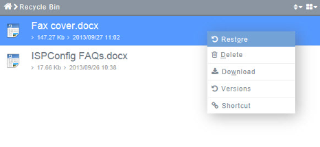 Recycle Bin - Restore.png