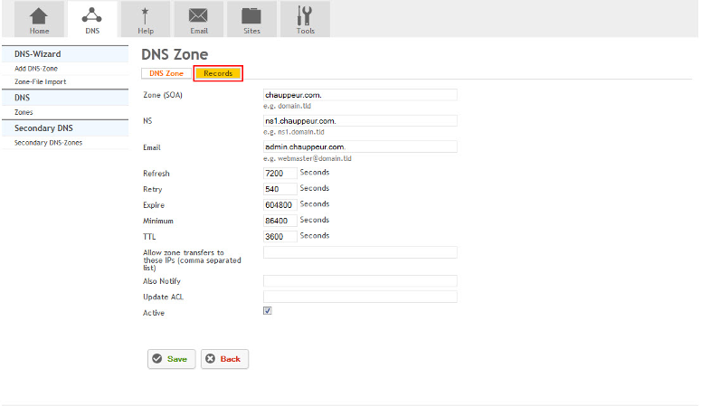 DNS records highlight.png