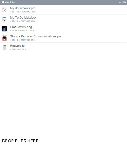 File:My Files pane.png