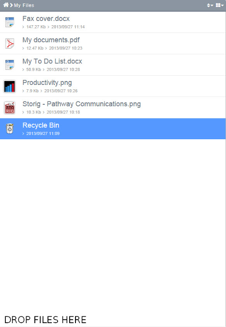 My Files - Recycle Bin.png