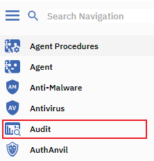 Kaseya click Audit pane 1.png