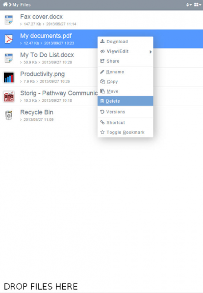 File:My Files - delete.png